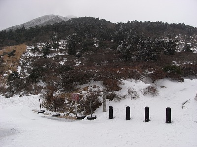 f0187402_21384230.jpg