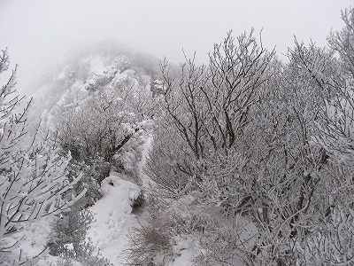 f0187402_21393234.jpg