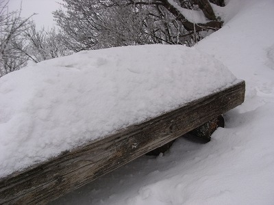 f0187402_21395349.jpg