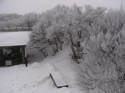 f0187402_214028.jpg