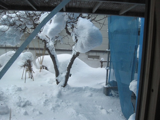 f0202703_2325454.jpg