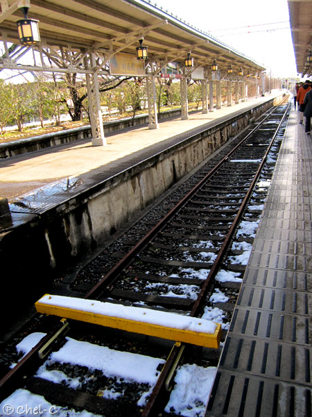 a0154706_042077.jpg