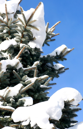 f0041606_185185.jpg