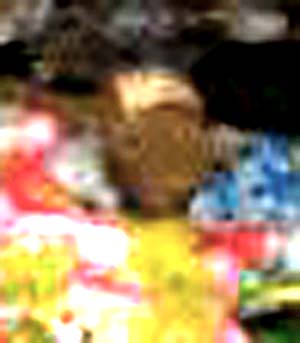 e0103408_12193945.jpg