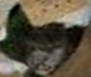 e0103408_12202734.jpg