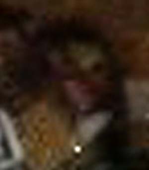 e0103408_12213845.jpg