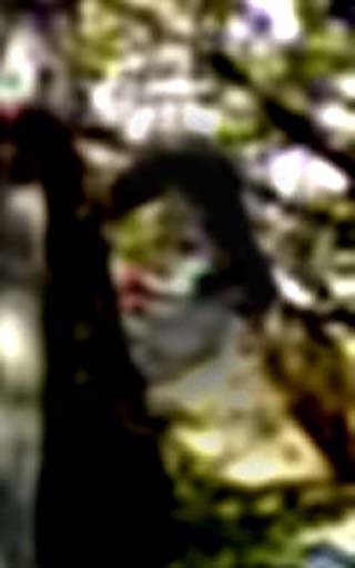 e0103408_23204851.jpg