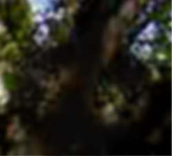 e0103408_23395236.jpg