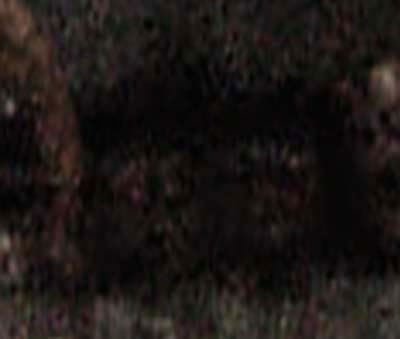 e0103408_23404294.jpg