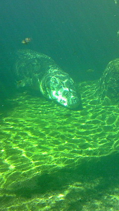 c0106009_2322585.jpg