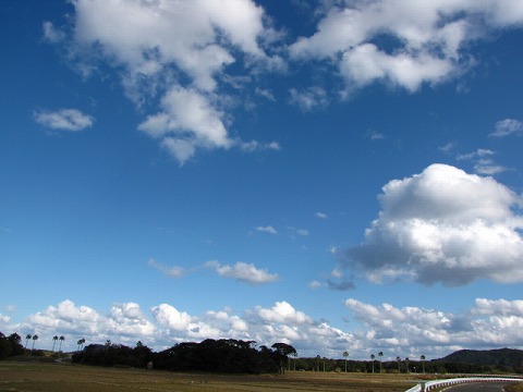 d0037110_215071.jpg