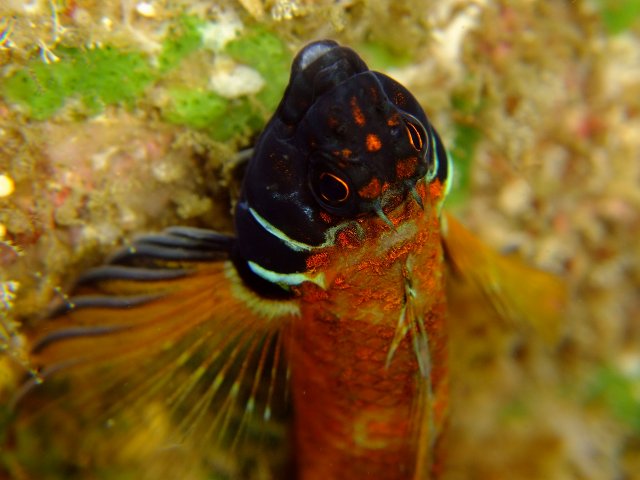 d0175710_22272040.jpg