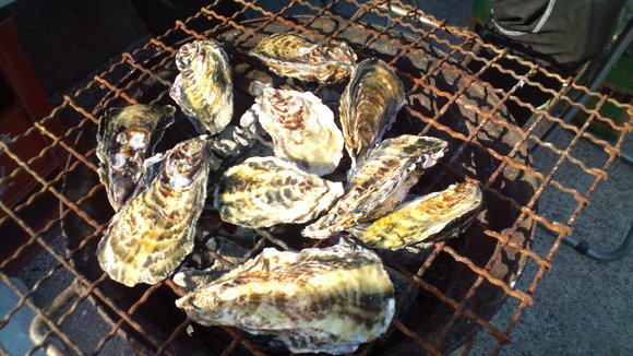f0219810_6115577.jpg