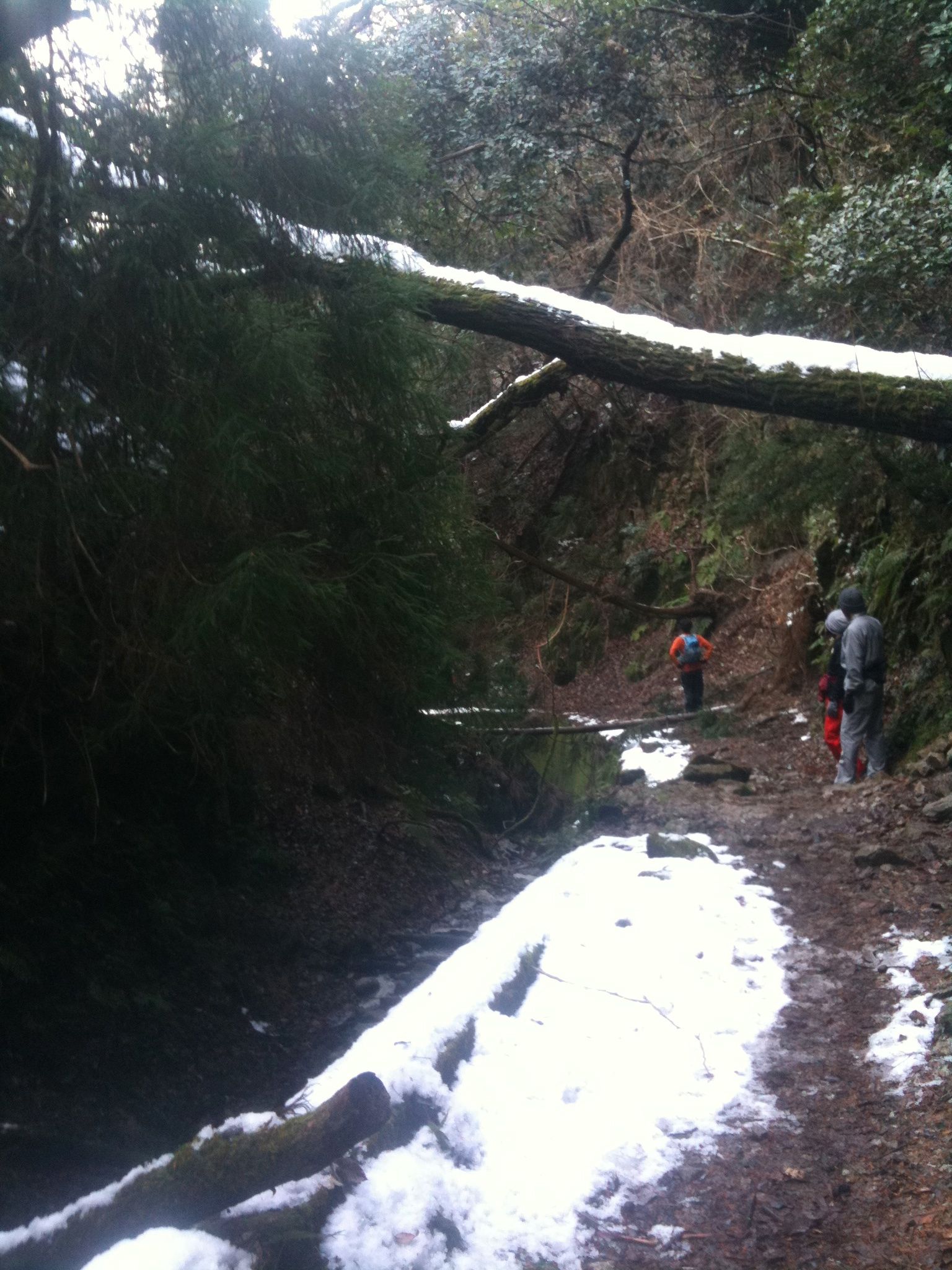 b0183911_032369.jpg