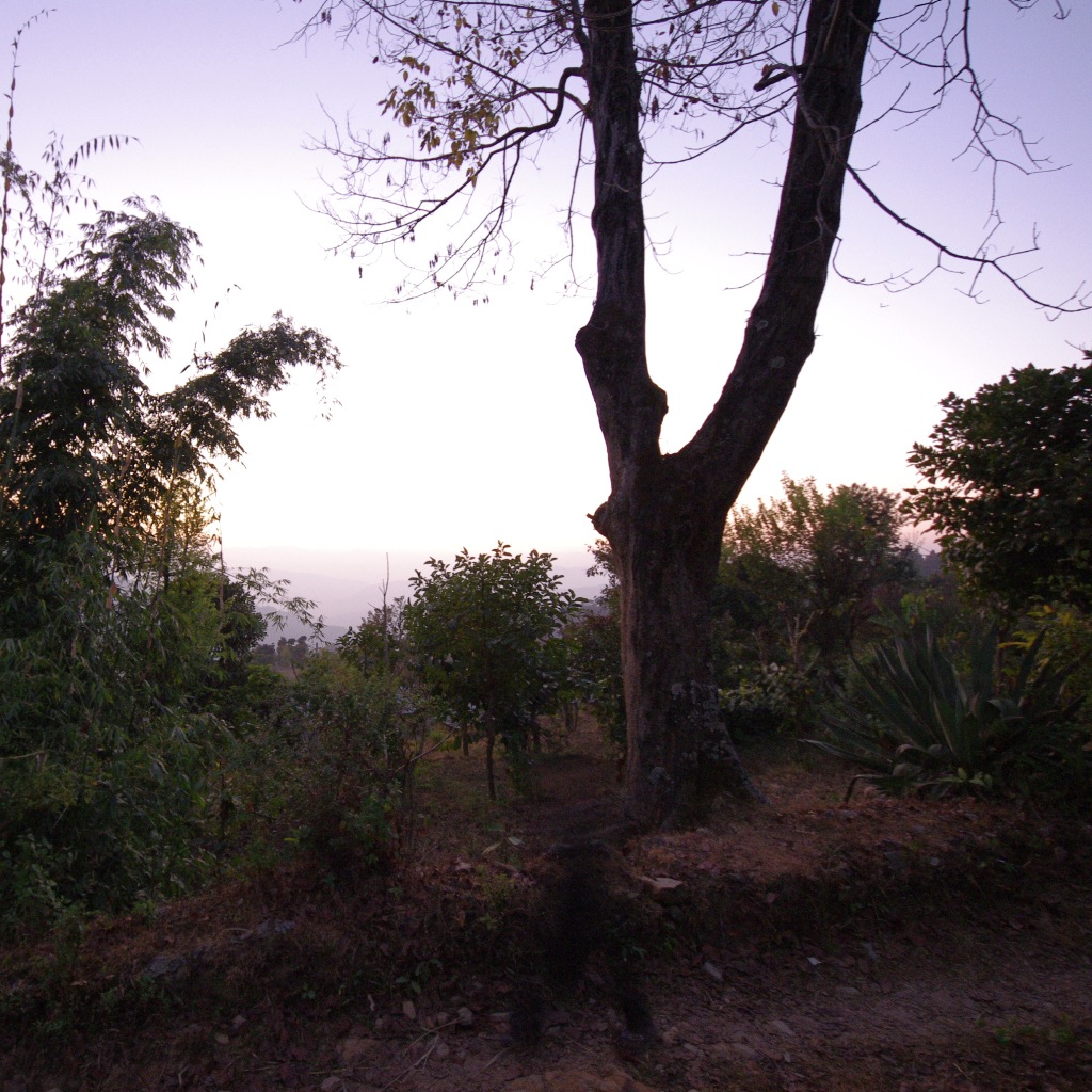 e0142611_0155835.jpg