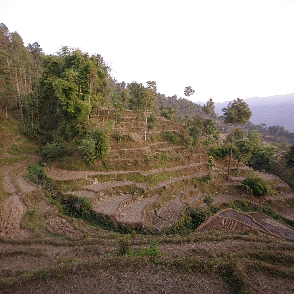 e0142611_0163385.jpg