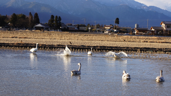 f0233414_2362135.jpg