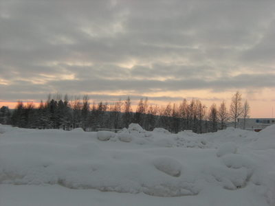 b0202018_550590.jpg