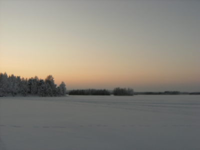 b0202018_554826.jpg