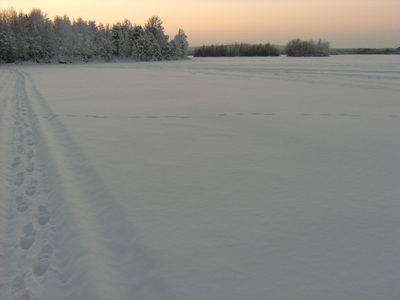 b0202018_556352.jpg