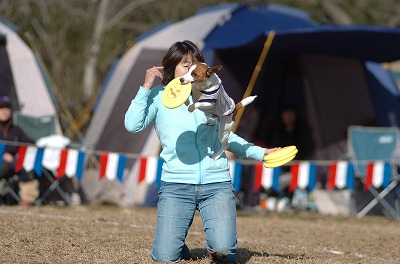 e0121418_1683420.jpg