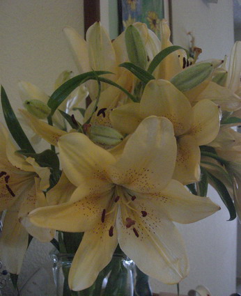 f0105318_75936.jpg