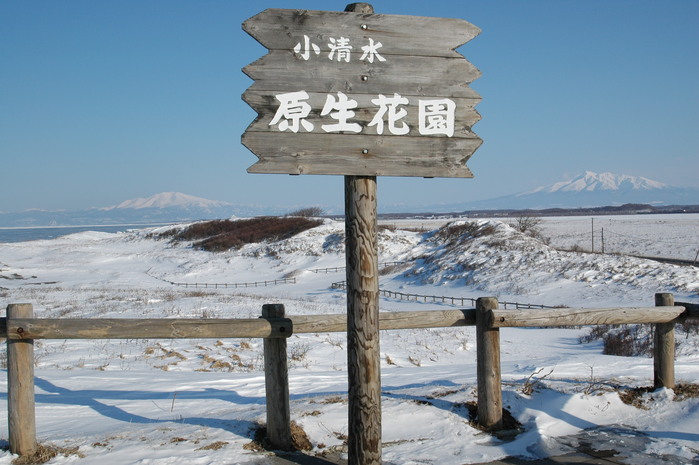 b0165522_164207.jpg