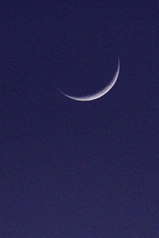 b0165522_7392954.jpg
