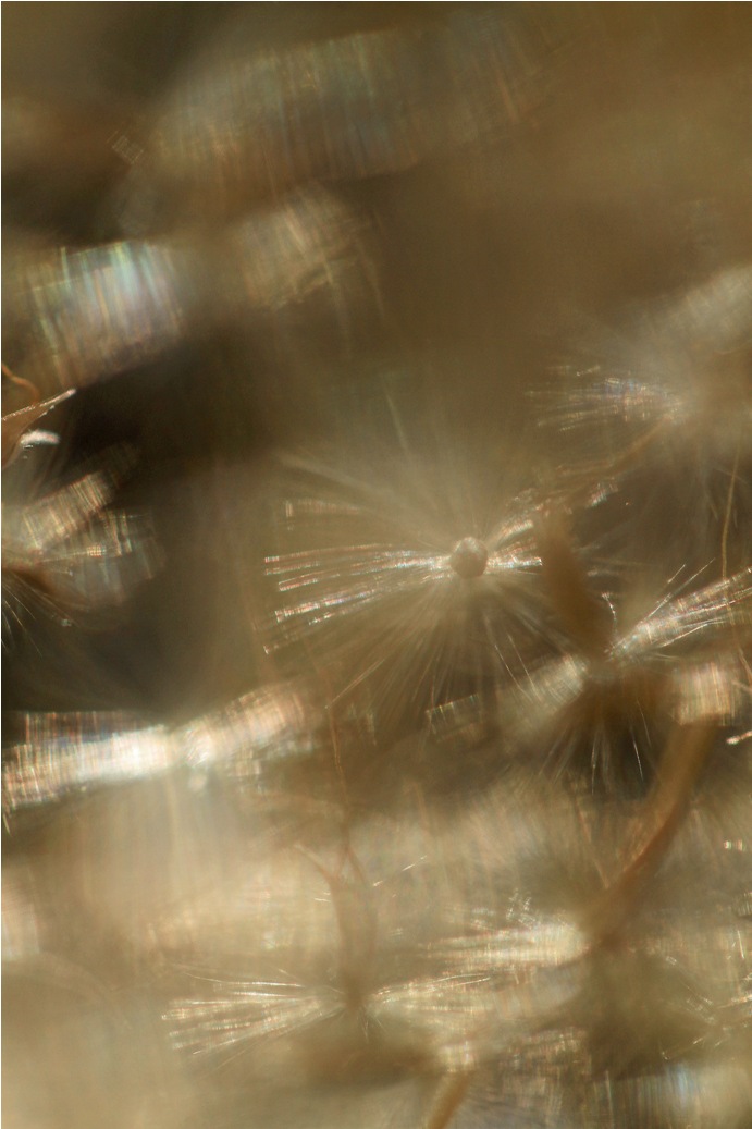 b0146723_07024.jpg
