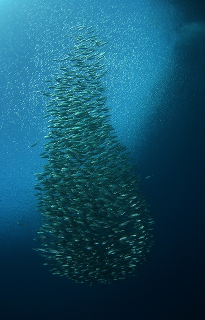 f0206424_1023254.jpg