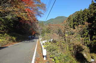 d0070327_17113716.jpg