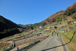 d0070327_17125626.jpg