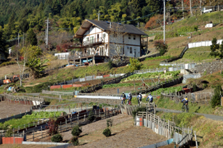 d0070327_171338100.jpg