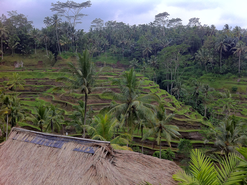 d0051432_21482111.jpg