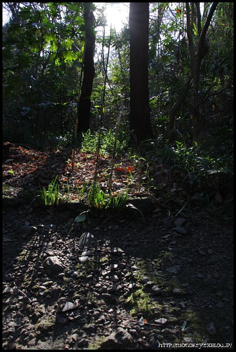 c0164234_21533286.jpg