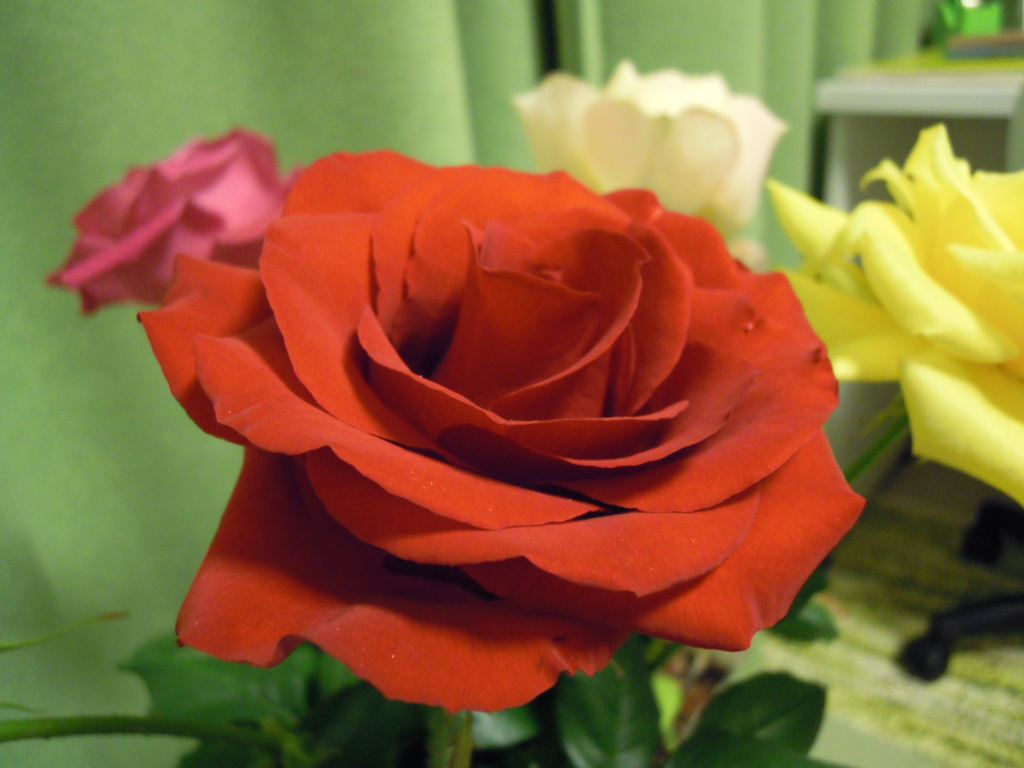 e0081334_4111778.jpg