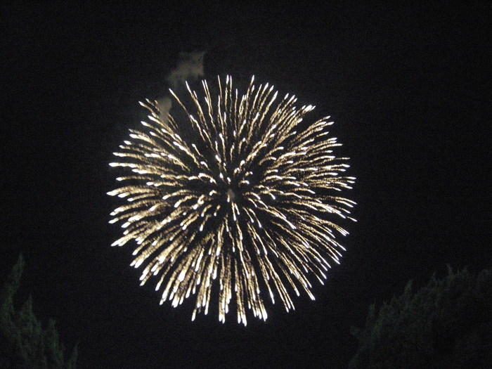 a0156636_20145293.jpg