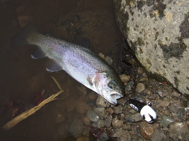 c0208836_22491379.jpg
