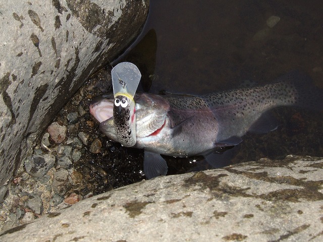 c0208836_22494784.jpg