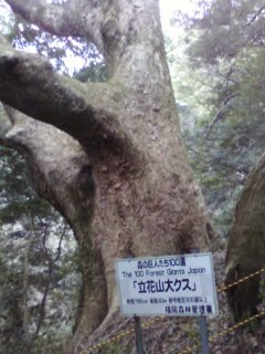 c0077338_6582928.jpg