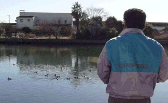 a0056140_11491346.gif