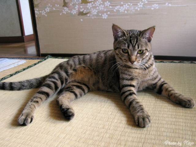 a0117440_219638.jpg