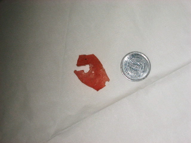 a0149240_19325372.jpg