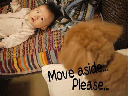 b0182846_22544862.gif