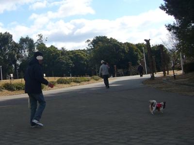 e0100046_21245566.jpg