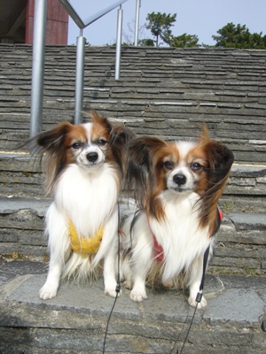 e0100046_2134245.jpg