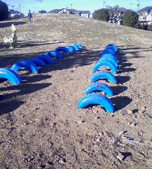 f0153547_1640269.jpg