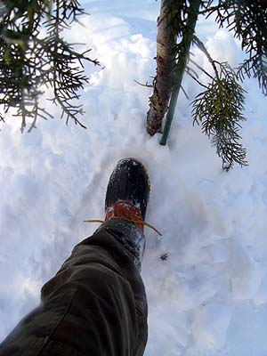 a0074650_23524084.jpg