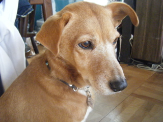 b0072650_2251424.jpg