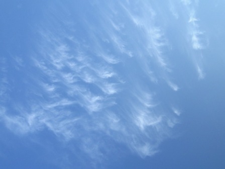 b0173754_13375316.jpg
